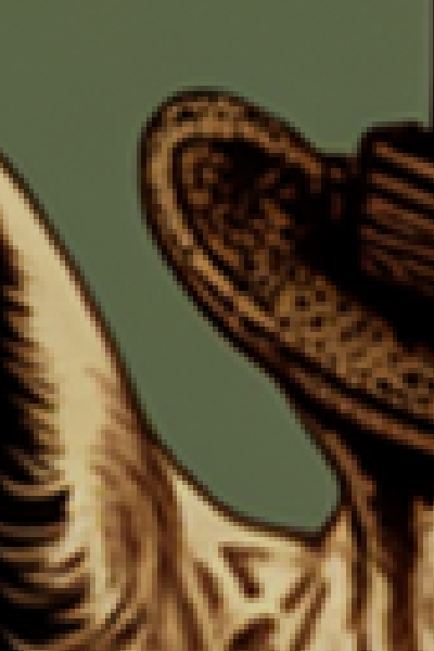 Utydelige billeder er ikke pæne, lad os hjælpe dig!